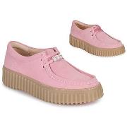 Kengät Clarks  Torhill Bee  39