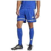 Shortsit & Bermuda-shortsit adidas  Squadra 25  EU XXL
