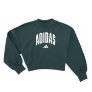 Svetari adidas  Seasonals Essentials Collegiate Typography Crewneck Sw...