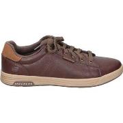 Kengät Skechers  210946-CHOC  40