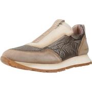 Tennarit Hispanitas  KANSAS  36