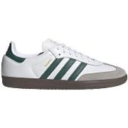 Kengät adidas  Samba OG J JQ2843  36