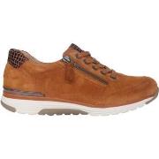 Kengät Gabor  76.973.01  42