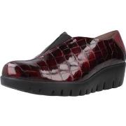 Kengät Wonders  C33340  37