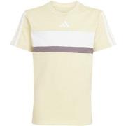 Lyhythihainen t-paita adidas  JC6661  EU S