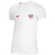 Lyhythihainen t-paita 4F  TSM950  EU S