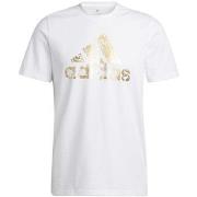 Lyhythihainen t-paita adidas  Foil Bos  EU XL