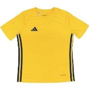 Lyhythihainen t-paita adidas  Tabela 23  EU S