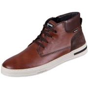 Kengät Pikolinos  Xativa  46