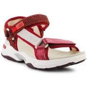 Sandaalit D.Franklin  DFSH406003BURG  36