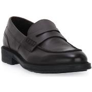 Kengät Marco Ferretti  CAFFE OMAR  43