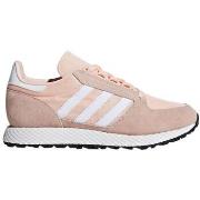 Kengät adidas  Forest Grove W  36