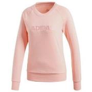 Svetari adidas  Essentials  EU XXS