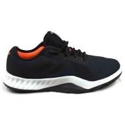 Kengät adidas  Crazy Train LT  36