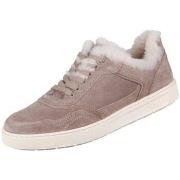 Kengät Sioux  Maites Sneak  37