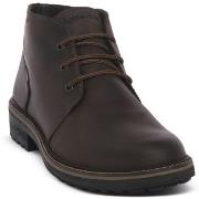 Kengät IgI&CO  FREDDY CAFFE  41