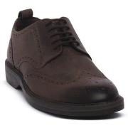 Kengät Clarks  183254  42