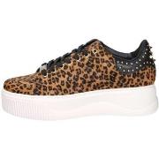 Kengät Cult  CLW464000  36