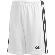 Shortsit & Bermuda-shortsit adidas  Squad 21 Sho Y  7 / 8 vuotta