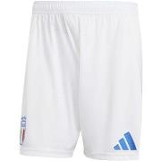 Shortsit & Bermuda-shortsit adidas  Figc H Sho  EU XXL
