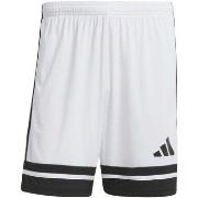 Shortsit & Bermuda-shortsit adidas  Squa25 Sho M  EU XXL