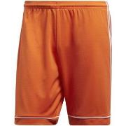 Shortsit & Bermuda-shortsit adidas  Squad 17 Sho  5 / 6 vuotta