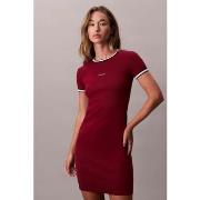 Lyhyt mekko Calvin Klein Jeans  SS COLOR BLOCK COTTON RI  EU S