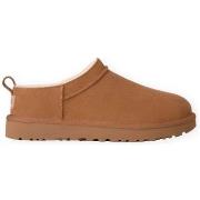 Kengät UGG  W Classic Micro - Chestnut  36
