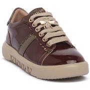 Kengät Ferre  BLAKE BORDO  37