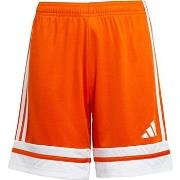 Shortsit & Bermuda-shortsit adidas  JC8664  EU S