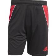 Shortsit & Bermuda-shortsit adidas  JP2492  EU S
