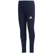 Legginsit & Sukkahousut adidas  Trening Tights  EU S