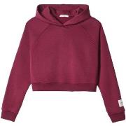 Svetari Hinnominate  Cappuccio A Scatoletta Con Manica Raglan  EU M