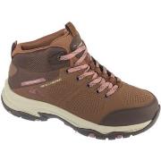 Kengät Skechers  Trego - Trail Destination  36