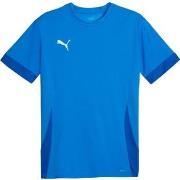 Lyhythihainen t-paita Puma  Teamgoal Matchday Jersey  EU S