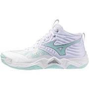Kengät Mizuno  Shoe Wave Momentum Elite Mid W  41