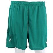 Shortsit & Bermuda-shortsit Australian  TEUSH0005913  EU XXL