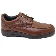 Kengät Luisetti  LENKKARIT  37704  41