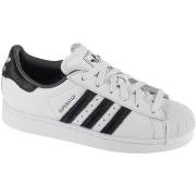 Kengät adidas  adidas Superstar II W  44