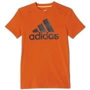 Lyhythihainen t-paita adidas  AK2540  EU XL