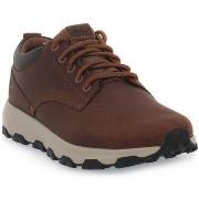 Tennarit Timberland  WINSOR PARK  47 1/2