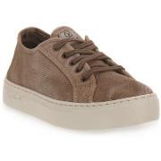 Tennarit Natural World  BEIGE ENZ  39