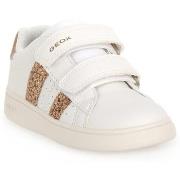 Tennarit Geox  ECLYPER  27