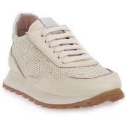 Tennarit Hispanitas  LOIRA  41