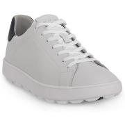 Tennarit Geox  C0899 SPHERICA ECUB  44