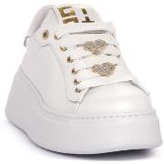 Tennarit Gio +  GIO COMBI WHITE  41