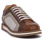 Tennarit Exton  COMBI 4  41