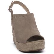 Sandaalit NeroGiardini  NERO GIARDINI  451 VELOUR CRETA  36