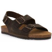 Sandaalit Bioline  880 INGRASSATO MARRONE  41