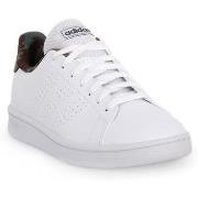Tennarit adidas  ADVANTAGE BASE  42